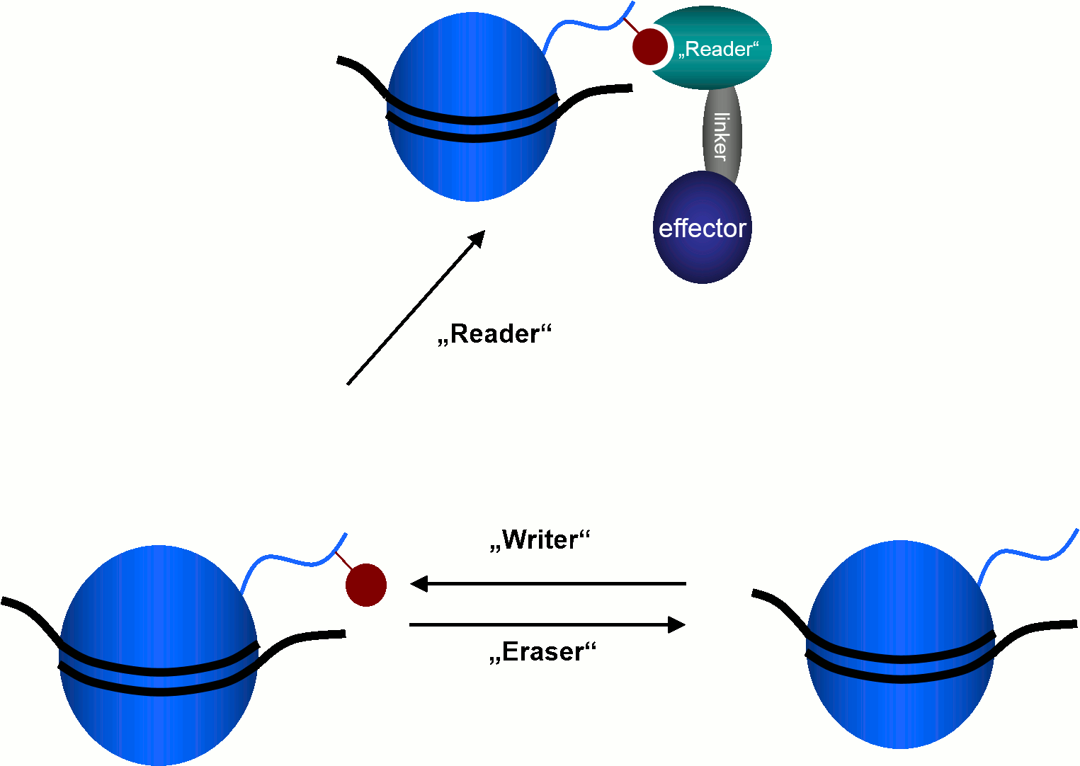 Classification